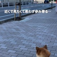 お気に入りの場所で待機