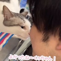 くぅちゃん「おかえり」