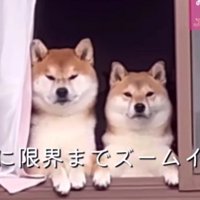 「ママ…まだ帰らないの？」