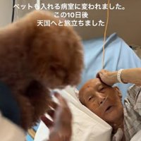 シェリーちゃんと再会