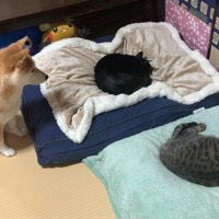 やっぱり気になる？