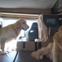 「ある人」に会いに行った