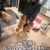帰ってきたお姉ちゃん