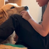 一生懸命耳をすませる