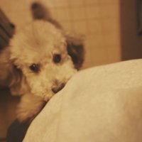 「おかえりなさい！」
