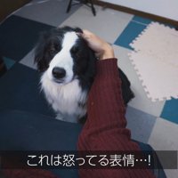 不満そうなお顔！