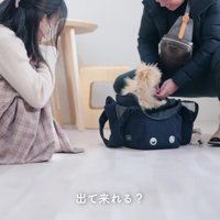 生後4ヶ月の子犬が来店