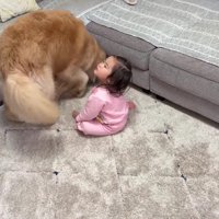 ボールがソファの下に！！