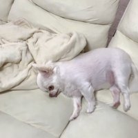 パパさんを横目でチラ見