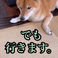 強引に連れ出します！