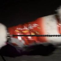 コシヒカリの赤い袋！！