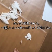 足元に紙が散乱した状態