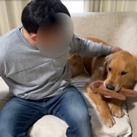 ソファの上で撫でてもらう大型犬