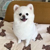 ニコニコ
