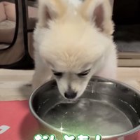 完全マスター！！