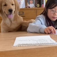 女の子の腕に前足を乗せる犬