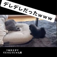 グデングデンに溶けてしまうほど