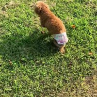 二度と歩けないかも…