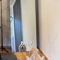 鏡に映る自分とおしゃべり