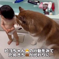 ポイポイ遊びに夢中