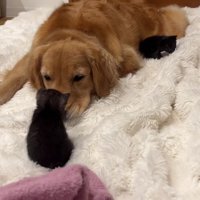 絶対に怖がらせない！！