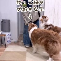 抱っこ紐を出すと…