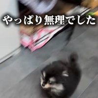 ビビッて逃げる姿が可愛い♡