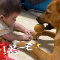 そらちゃんと赤ちゃん3