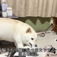 「心配したじゃない！」