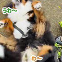 あざちゃんは大喜び♡