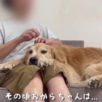 パパとお留守番のおからちゃん