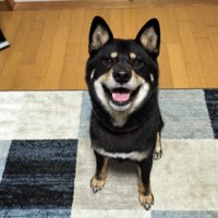 ニコニコ