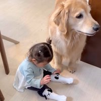 わんわんの靴下を履いて…