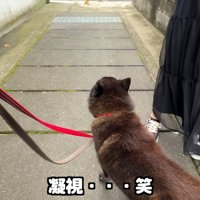 再び警戒モードに！