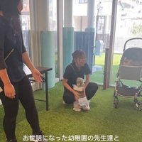 先生に駆け寄る小型犬