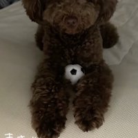 家族からの愛情は変わりません