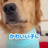 「もし笑われたら？」