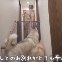 ゲートの向こうへ入る女性と赤ちゃん