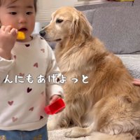 うにくんの元へ