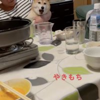 「不服です！」