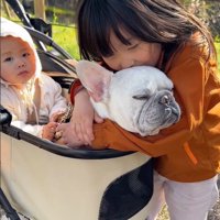 犬吸いに夢中…！