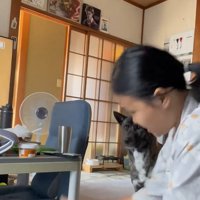 見つめる犬1