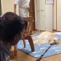 「ばあばんち泊まる！」