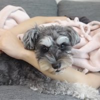 抱っこして眠りを誘ったら…