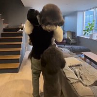 抱っこを巡る言い合いに