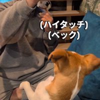 「ハイタッチ」はできたけど…