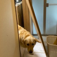 引き戸が外れちゃった！！