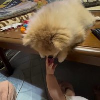 イクラちゃんと赤ちゃん7