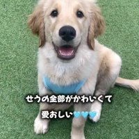 愛情をたっぷり注がれるせうちゃん