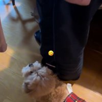 並んで歩くふたり